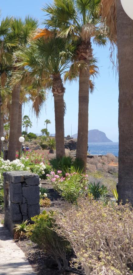 Cosy Well Located Apartment Tenerife Sur Golf San Miguel de Abona Eksteriør billede