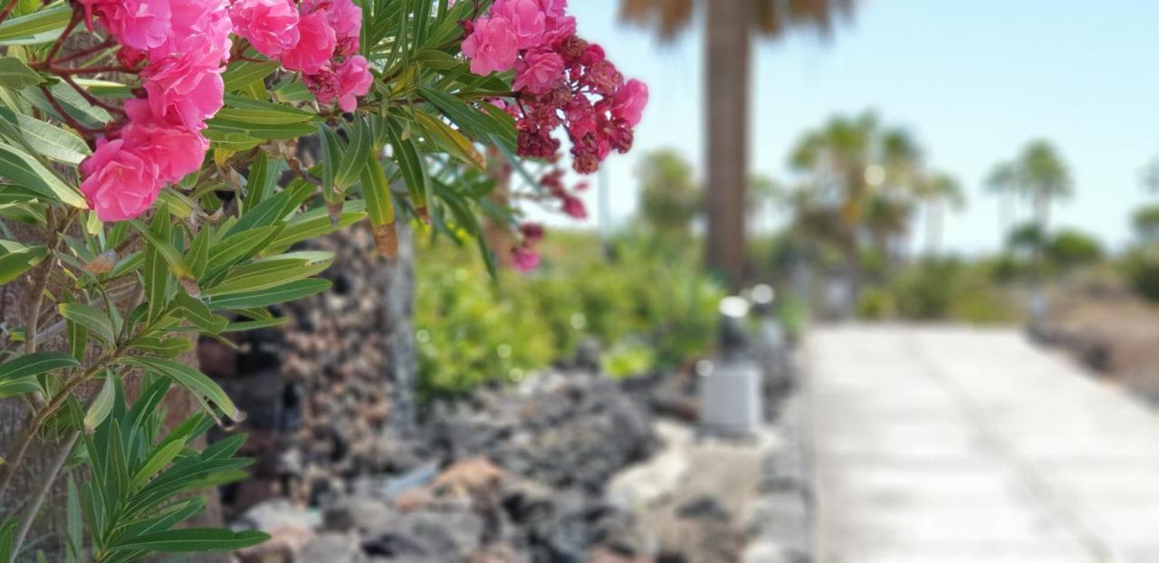 Cosy Well Located Apartment Tenerife Sur Golf San Miguel de Abona Eksteriør billede