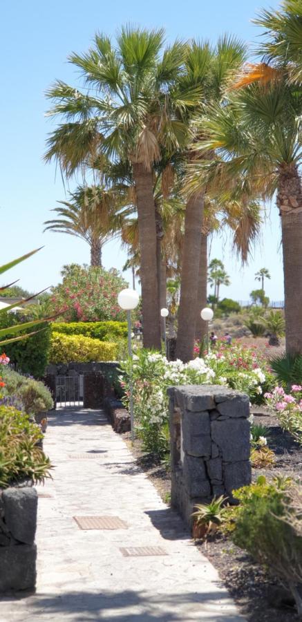 Cosy Well Located Apartment Tenerife Sur Golf San Miguel de Abona Eksteriør billede